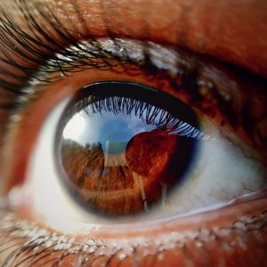 calla-beauty-cosmetics-heidenheim-wimpern-1